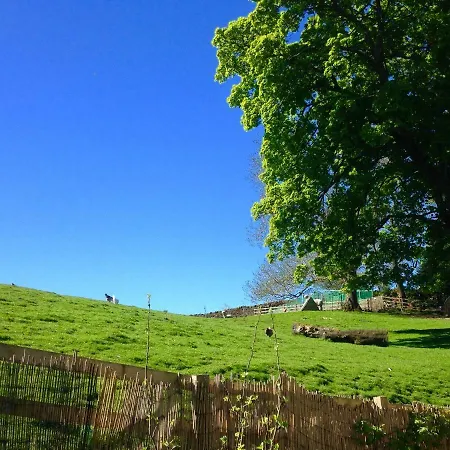Moorhouse Bed & Breakfast *
